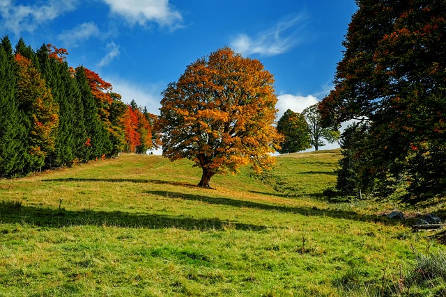podzimní krajina